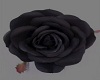 black rose dress