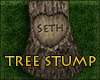 Tree Stump Seth