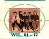 The wild boys duranduran