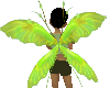 green fairy wings