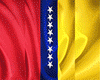 Flag Venezuela ✈