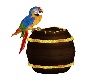 Parrot Barrel