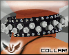 |V| ~ Leather Collar
