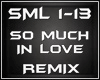 SO MUCH LOVE REMIX