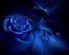 Blue  Rose & butterfly