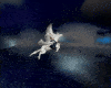 [la] Pegasus Anim flying