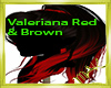 Valeriana Red & Brown