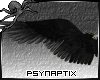 [PSYN] Raven Wings