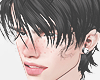 Mullet
