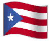 LWR}Puerto Rico Flag