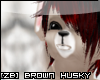 [ZB] Brown Husky Ears