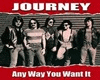 Any Way You Want It