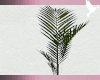 Basket Plant 02