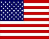 (WW)USA Flag