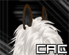 [C.A.C] Horse Ears