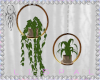 :A Boho Skandi Plants 3