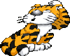 Confused Tiger Cub