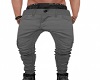gray pants