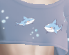 Blue Shark