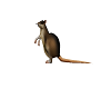 animated rat