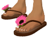 brown flip flops w/pink