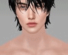 Skin v3