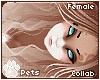 [Pets] Fievel | hair v1