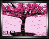S l Blossom Petal Tree