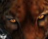 Leopard Animated - Furn.