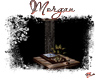 -TOV- Morgan Plant Seat