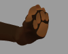 {F} Brown Bear Feet V2