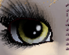 Cullen eyes {F}