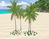 4 Coconut Trees