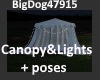 [BD]Canopy&Lights