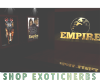 ♊. Empire Theater