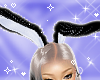 Bunny Ears Black