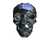 animated skull