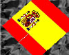 ~Spain Hand Held Flag
