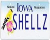 Shellz License