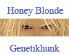 Honey Blond Eyebrows