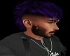 Mullet  Purple Hair