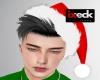 CK! Christmas Hat+Hair