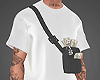 Shirt + Bag + Money + TT