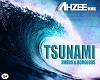 dvbbs tsunami