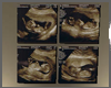 quadruplets ultrasound