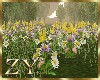 ZY: Animated Flowers