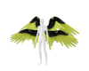 Acid Wings