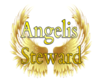 Steward angelis