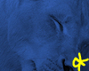 Blue Lioness