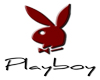 Playboy open short